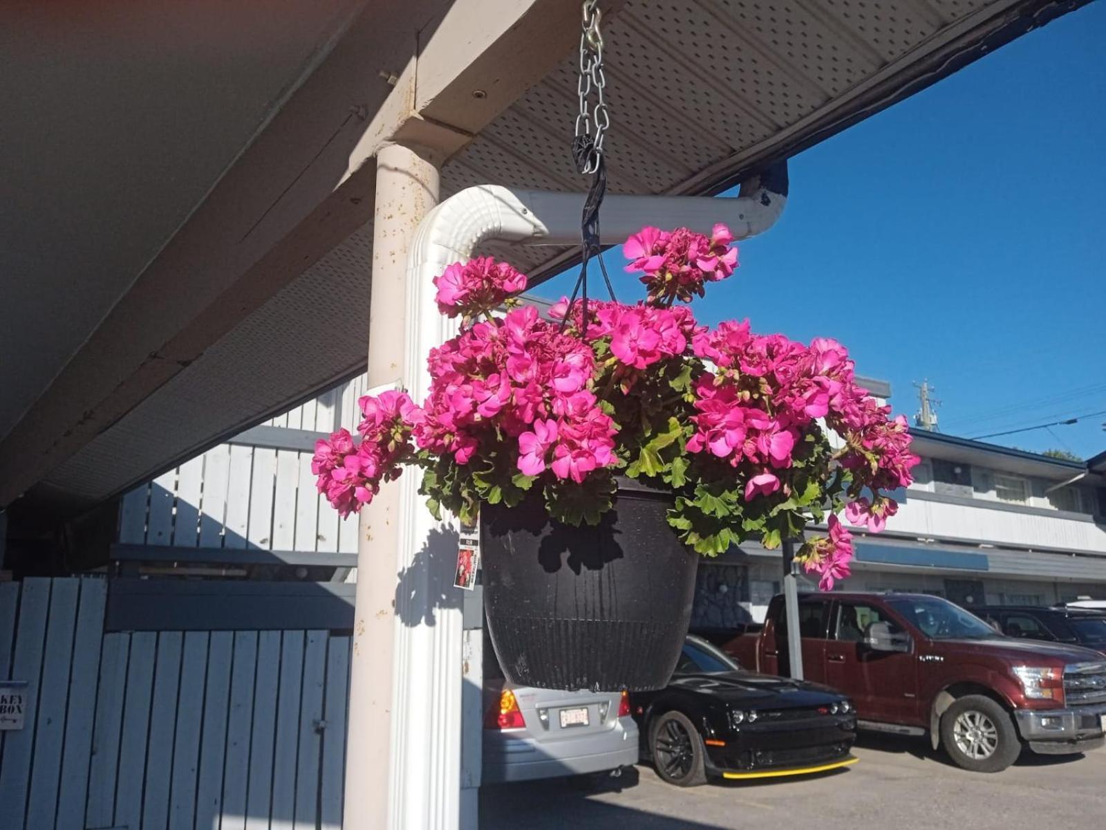 Tara Vista Inn Hinton Extérieur photo